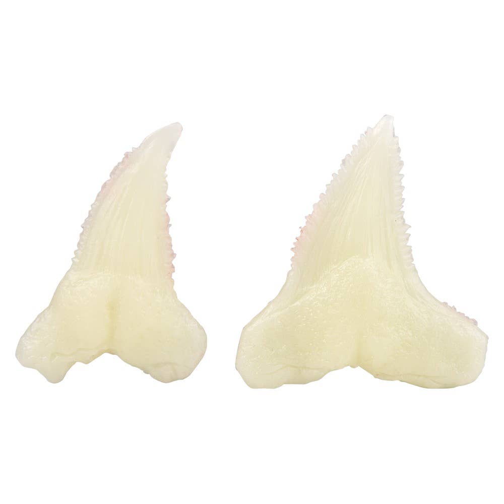 KidzLabs /Dig Glow Shark Tooth Fossils