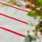 Red Striped Tablecloth