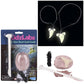 KidzLabs /Dig Glow Shark Tooth Fossils