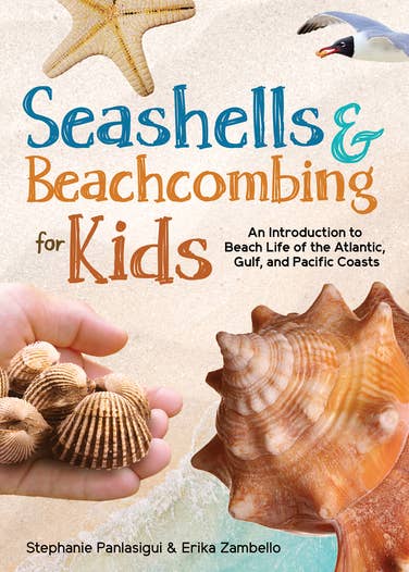 Seashells and Beachcombing for Kids